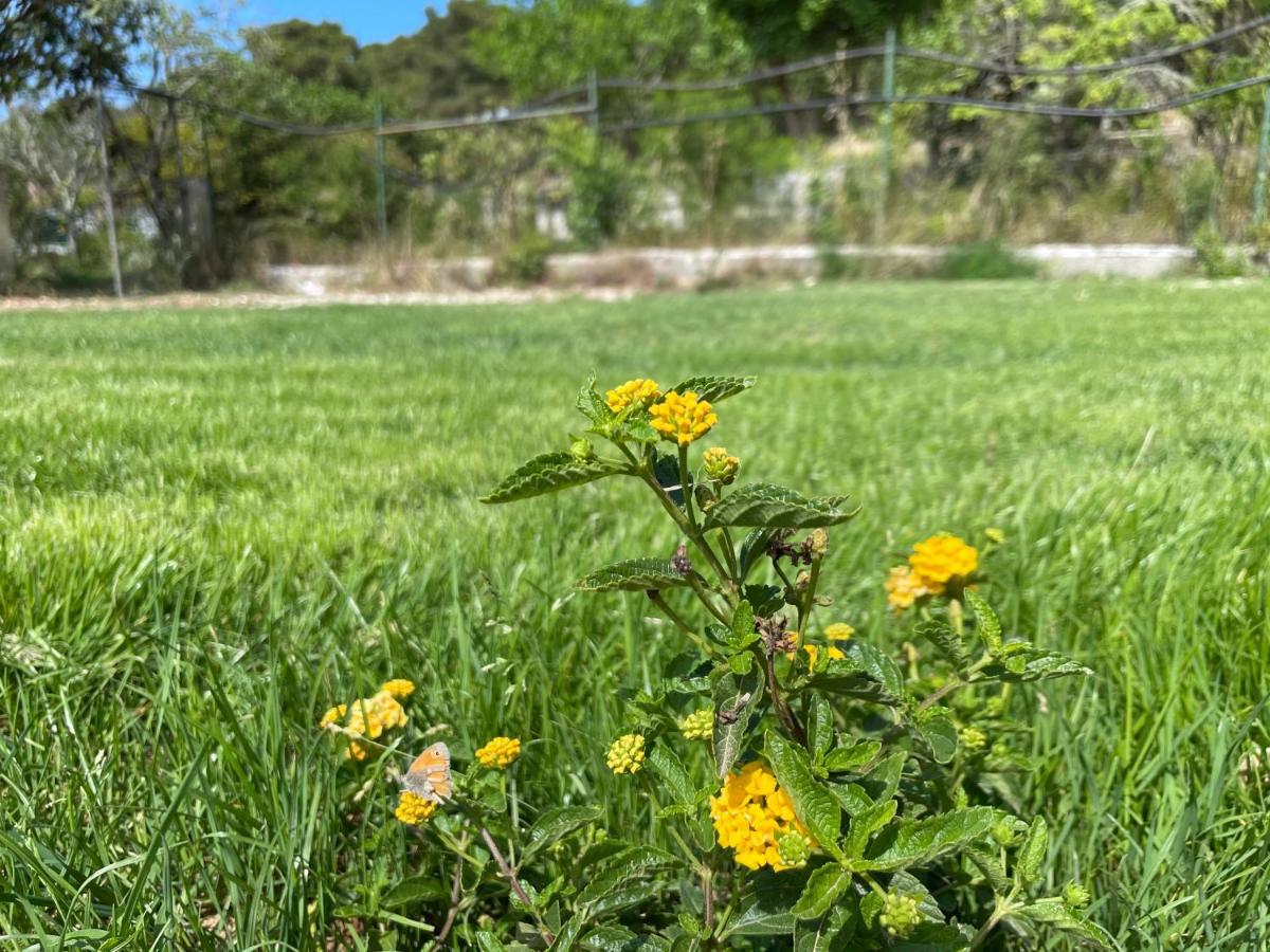 Villa Anna Maria 奥特朗托 外观 照片